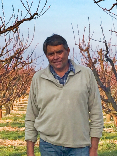 Ghislain Sabatier - Responsable de la production et de la vente des abricots et des pommes